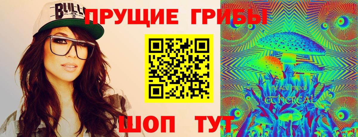 Псилоцибиновые грибы мицелий Михайловка